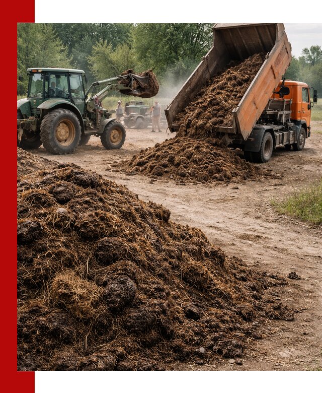 Доставка навоза самосвалами в Казани для сельхозпотребностей
